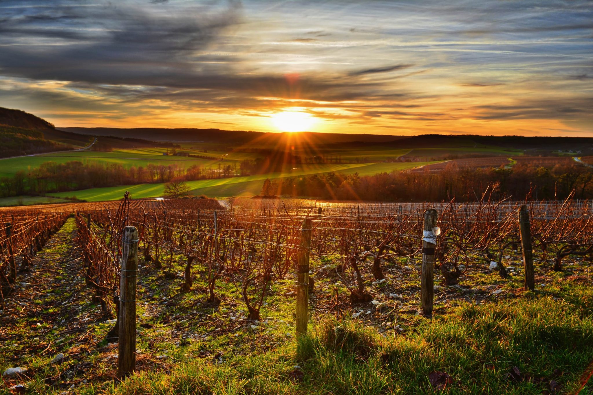 photographe aube paysages vigne champagne