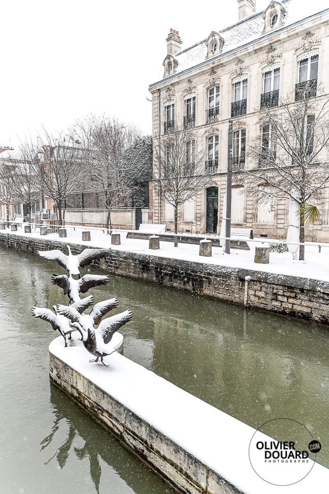 les canards de Troyes sous la neige