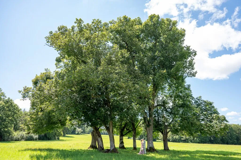 les mariés posant devant un rond d'arbres majestueux dans le parc du château de Vaux